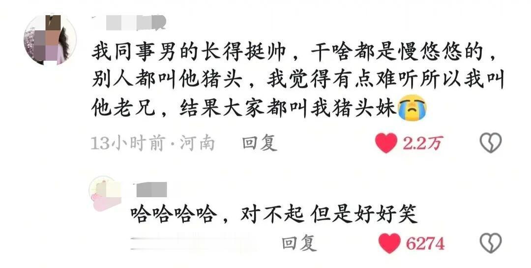 笑不活了家人们哈哈哈哈哈哈哈哈 