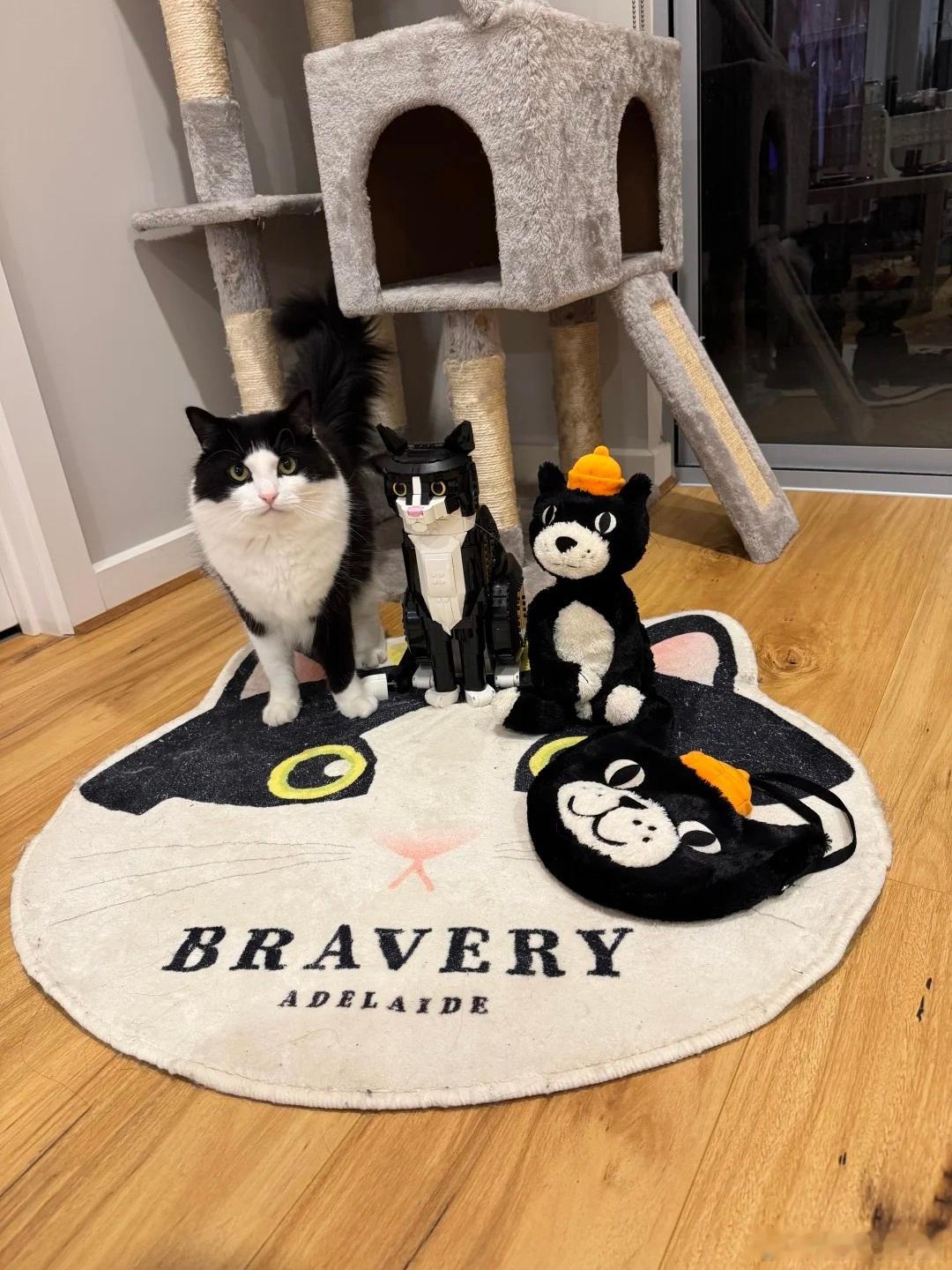 欸？2025十大AI提示词居然没有宠物相关的，不过也算沾边吧，我给我的猫算过命，