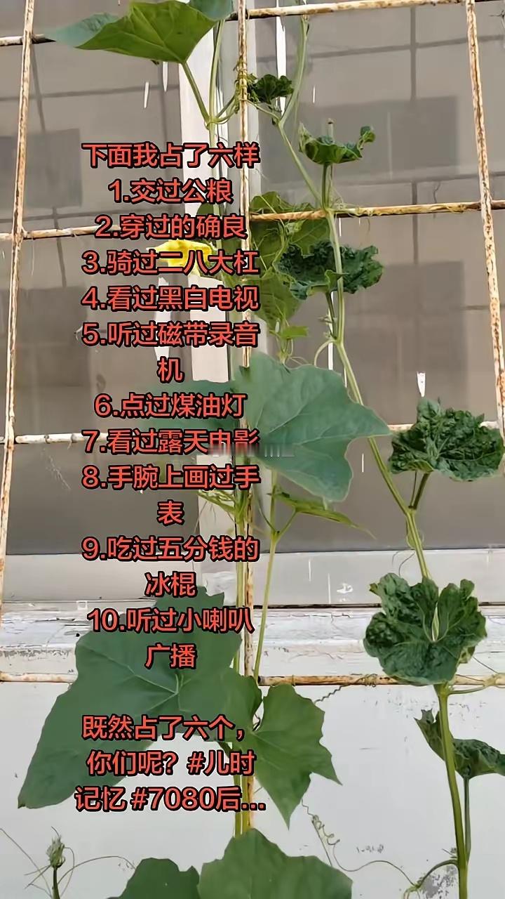 下面我占了六样。·1.交过公粮。·2.穿过的确良。·3.骑过二八大杠。·4.看过