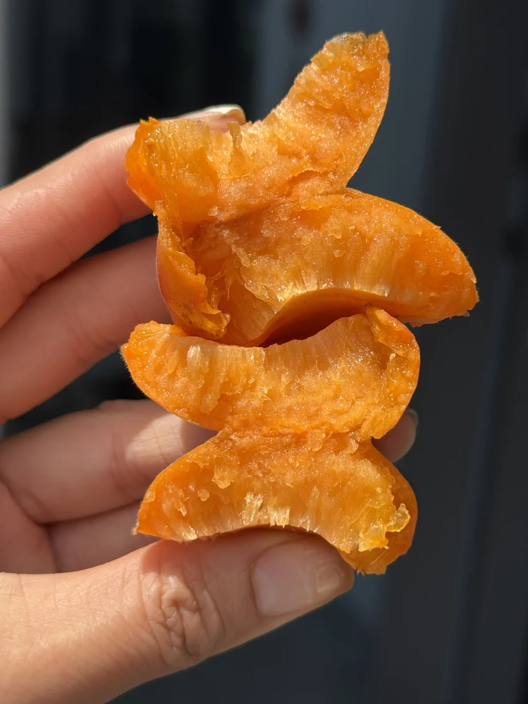 大凉山现摘蜜杏，刚下树就发货，甜到流蜜谁懂