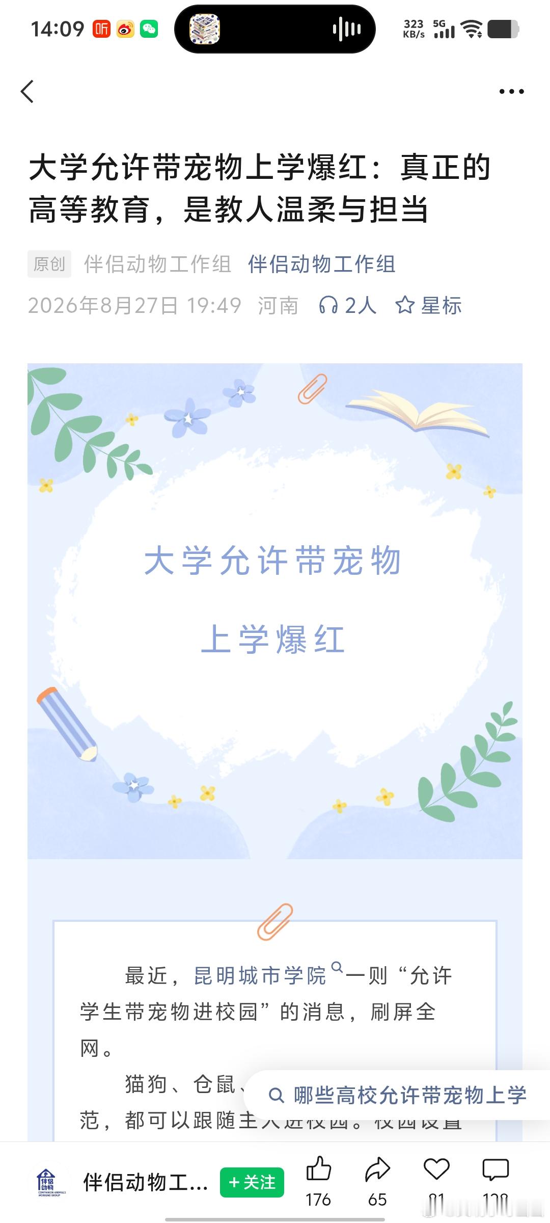 小狗被咬死主人骑车追撞大狗 养宠物，会让人变温柔。被温柔撞了一下腰。 ​​​