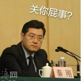 暖狗狗热看影视