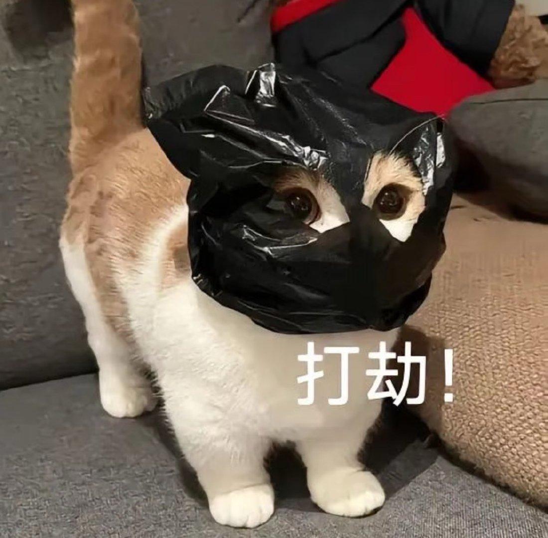 每次穿着安睡裤🐺都得调侃我一下🐺：怎么和个小宝宝一样穿着个纸尿裤就到处跑啊哈