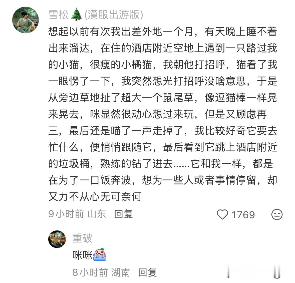 猫每天在忙啥啊 ​​​