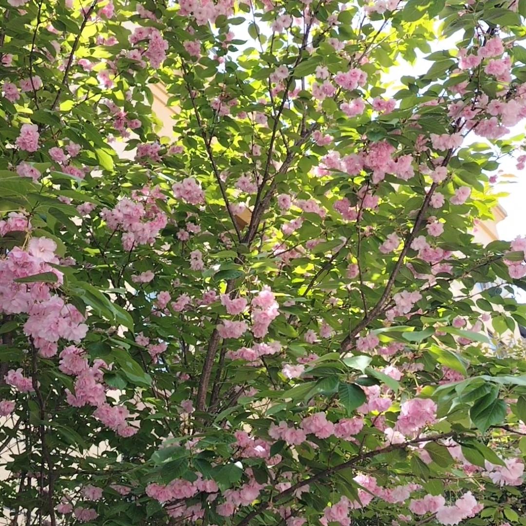 人到中年，总以为自己还年轻，这念头害了多少人？你现在是不是孩子都跟你一样高了，你