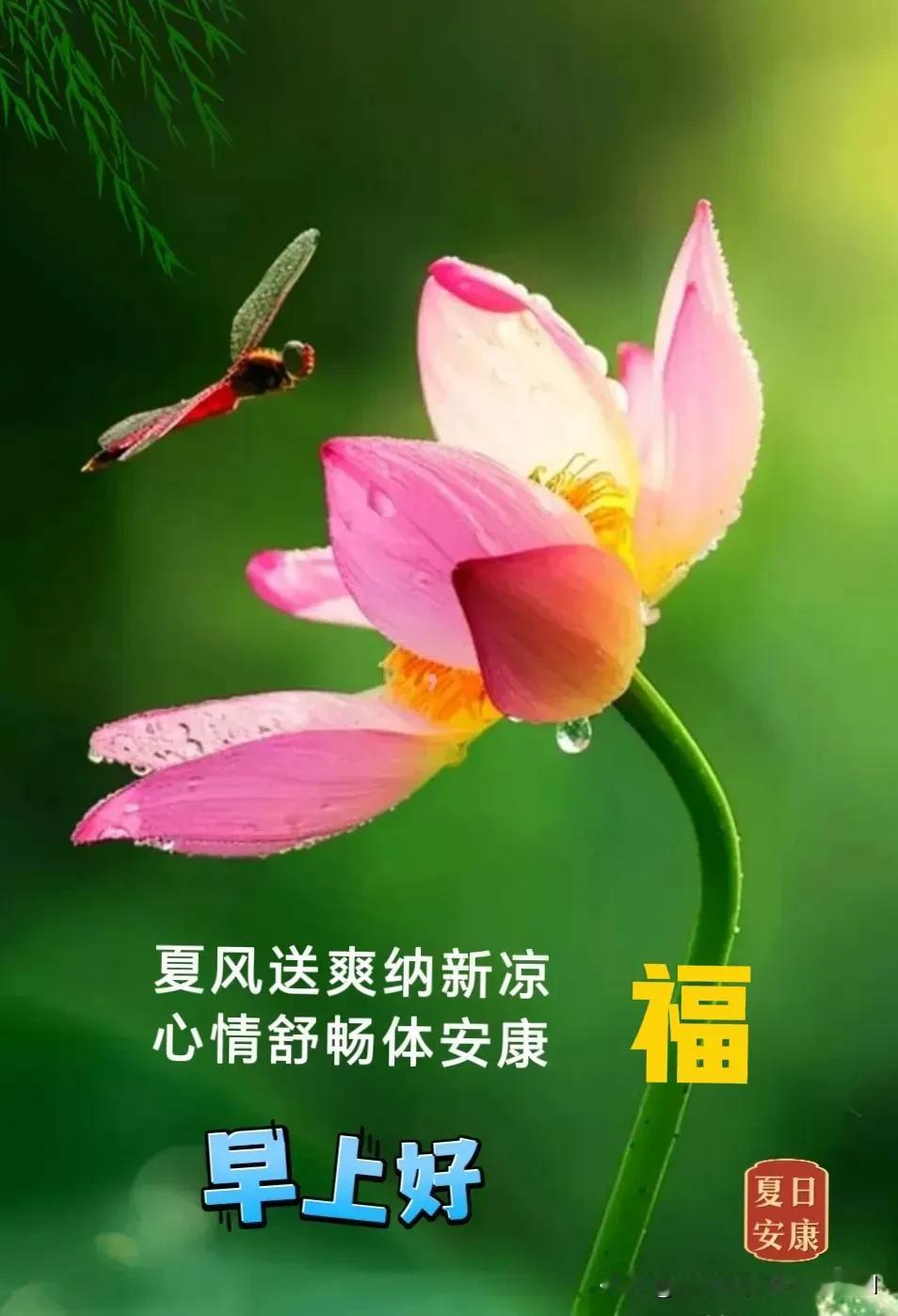 人生难留旧时光，
唯有真情心中装；

听风听雨顺自然，
无价之宝是安康。

你我