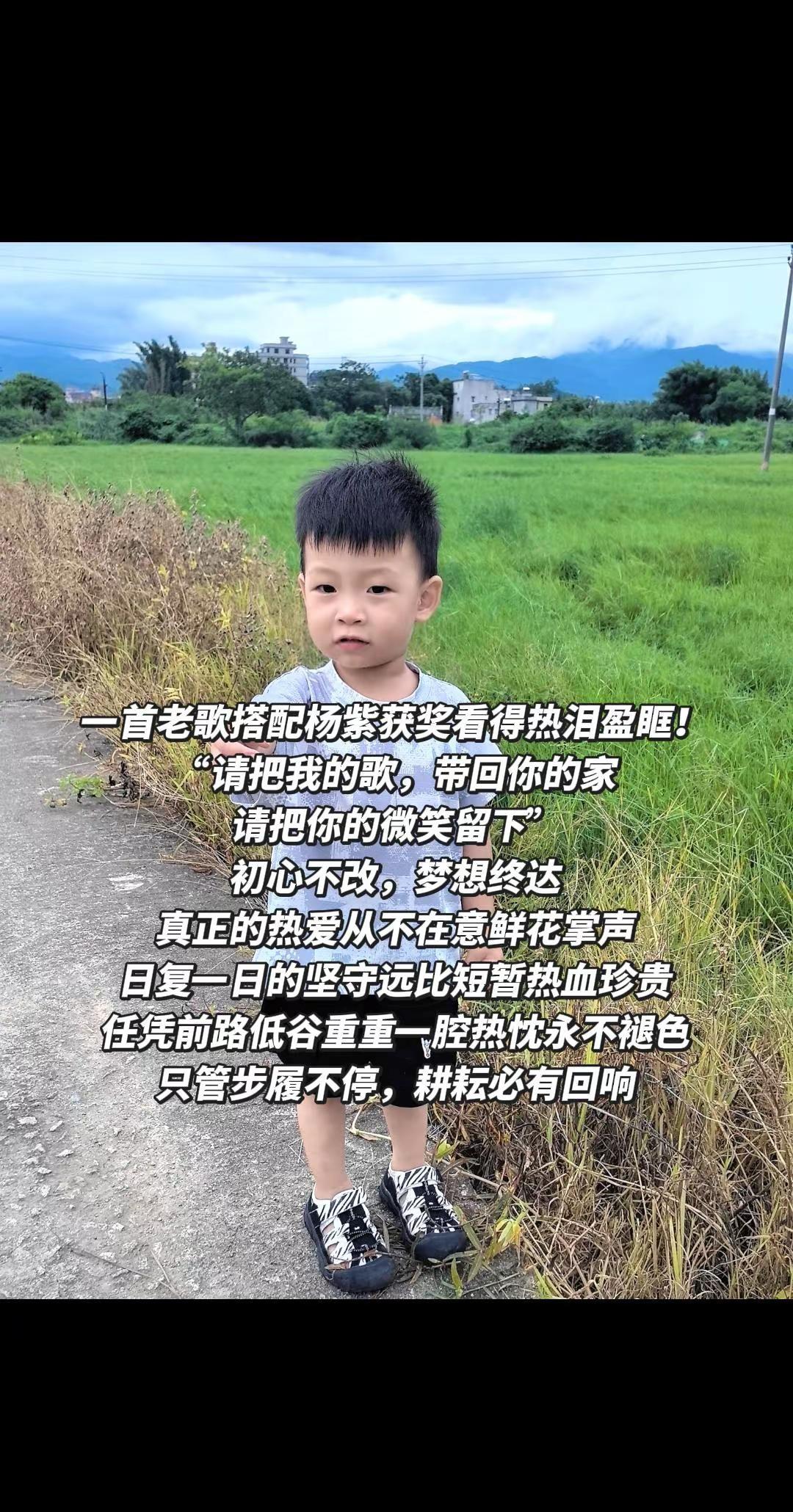 杨紫这首歌送给每一个咬牙坚持的普通人。不理闲言碎语，守住初心坚持下去，终会圆梦。