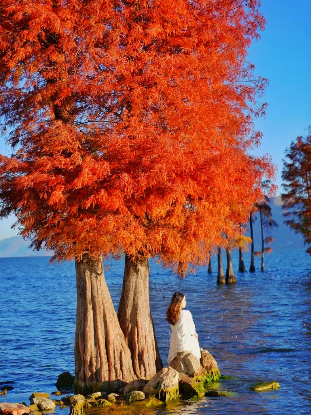 大理环洱3日J人保姆级包车攻略｜附手绘地图