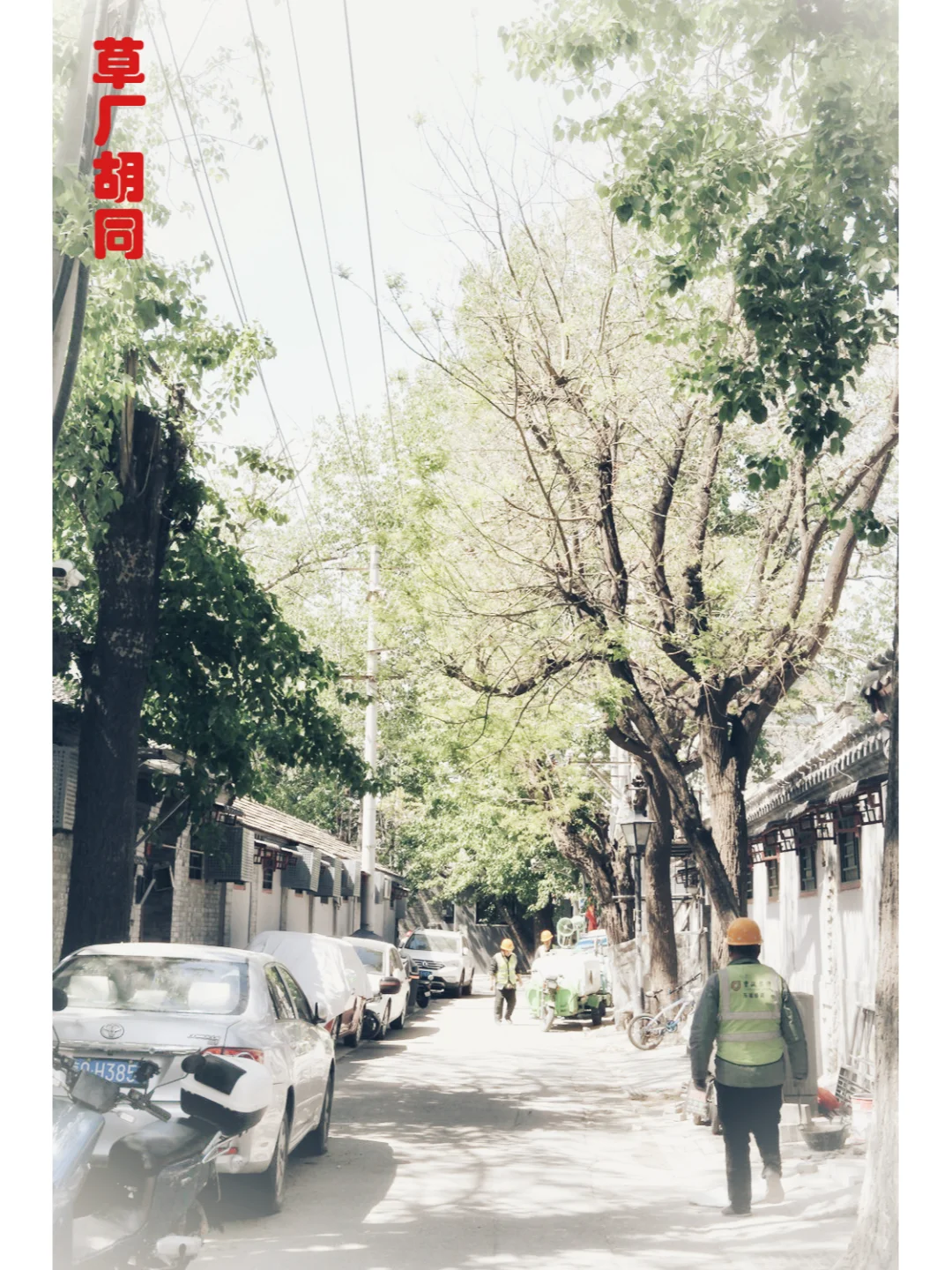 胡同系列26---草厂胡同抽屉胡同储子营胡同