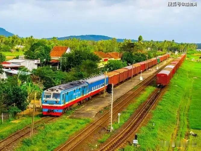 越南一边签约德国建高铁，一边在我国乘坐体验高铁

这观察可太透了！越南这手“双线