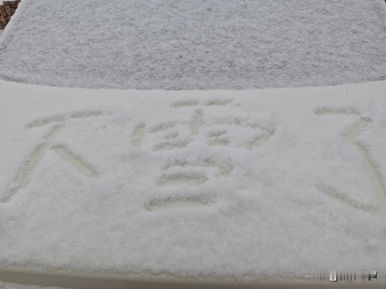 和林格尔下雪了，飘飘洒洒，沸沸扬扬，这算是入冬以来第二场有效降雪。今冬可以说是暖