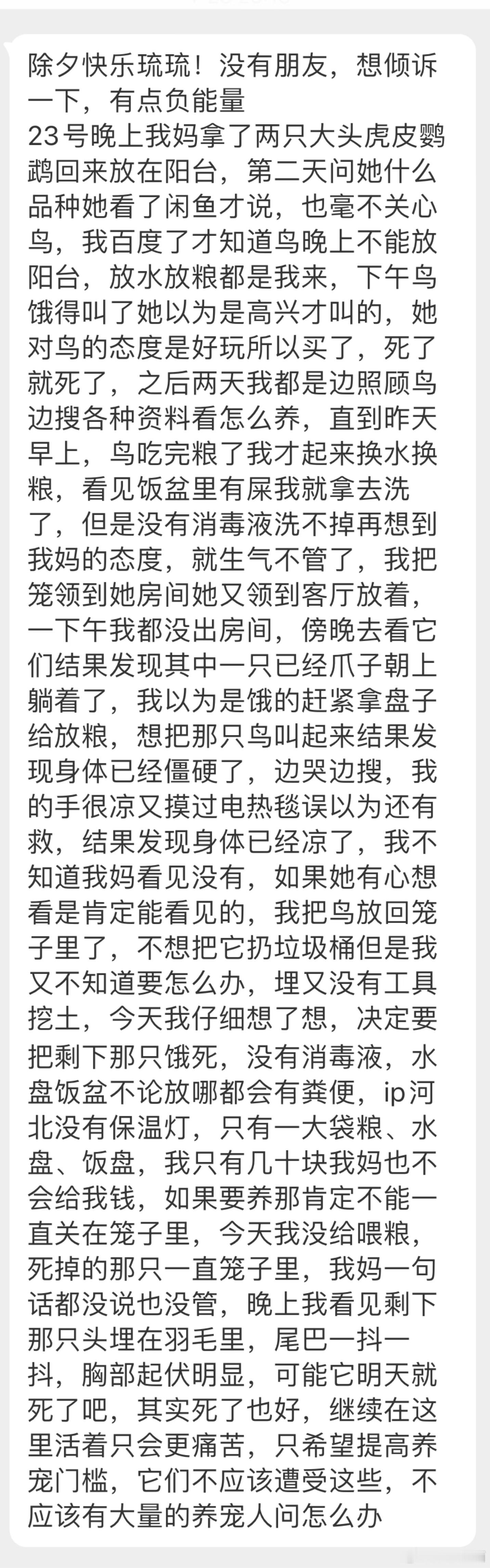 “我妈拿了两只大头虎皮鹦鹉回来放在阳台，问她什么品种她也毫不关心鸟，我百度了才知