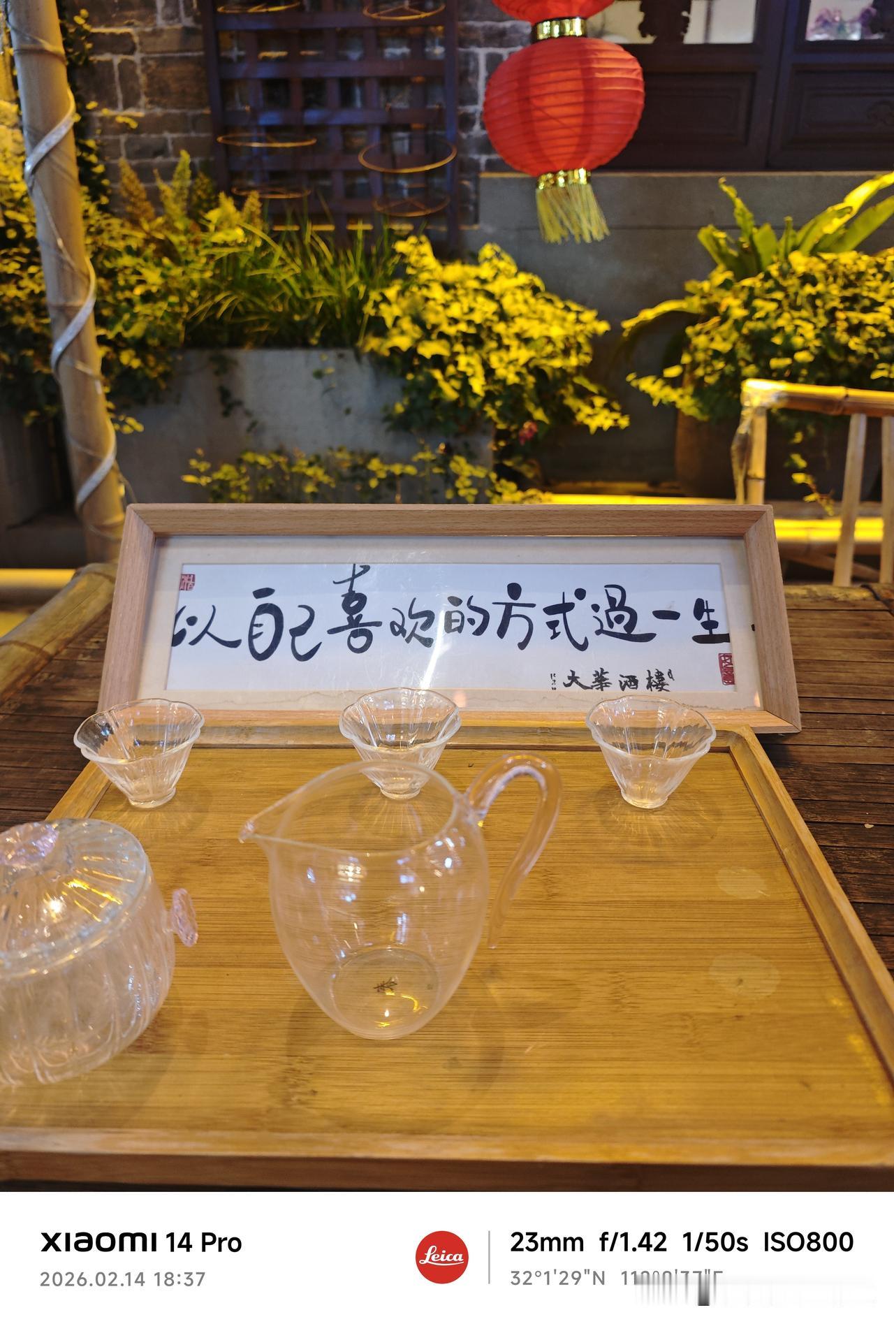 我人生所有荒谬无比的决定，
都是经过深思熟虑想出来的，
小心翼翼闯了很多祸，
机