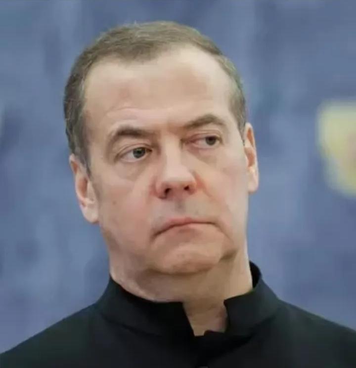 俄罗斯说出了真相！俄罗斯安全会议副主席梅德韦杰夫表示，中东地区国家自以为自己境内