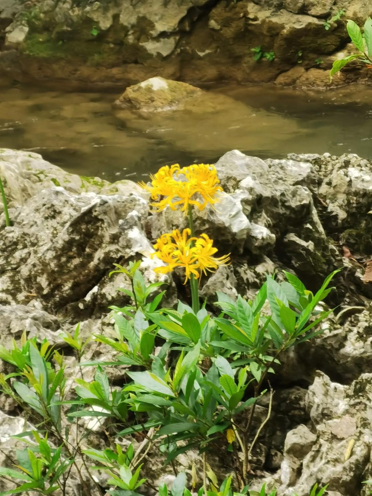 老话说得好，打铁还需自身硬！外围对A股市场有影响，但真的就那么大吗？美国加息时，