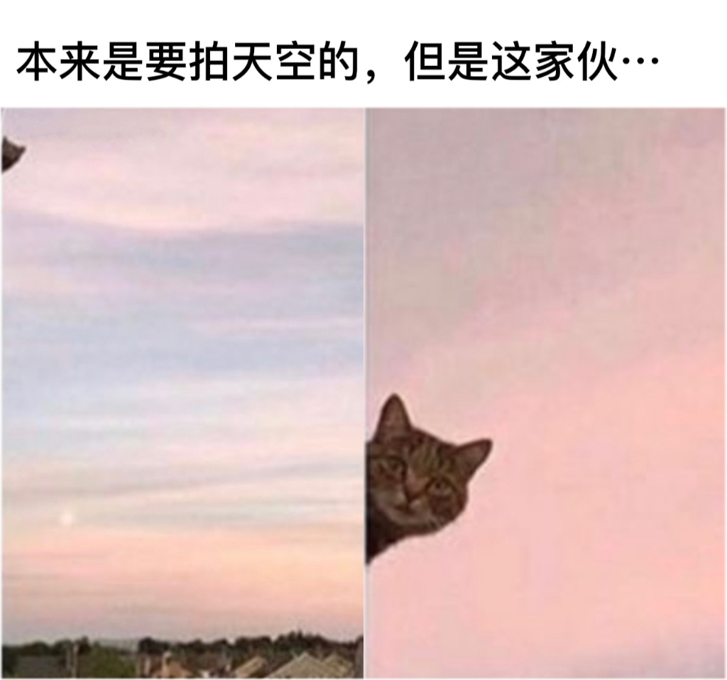 偷拍我干嘛#今日memes# //#春日cityhappy计划# ​​​