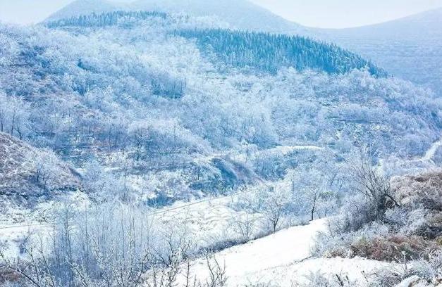 齐鲁朔风呼啸起，长空雪舞玉龙蛇。
彤云变幻谢韫絮，枯树竞开岑氏花。
点染乾坤成一