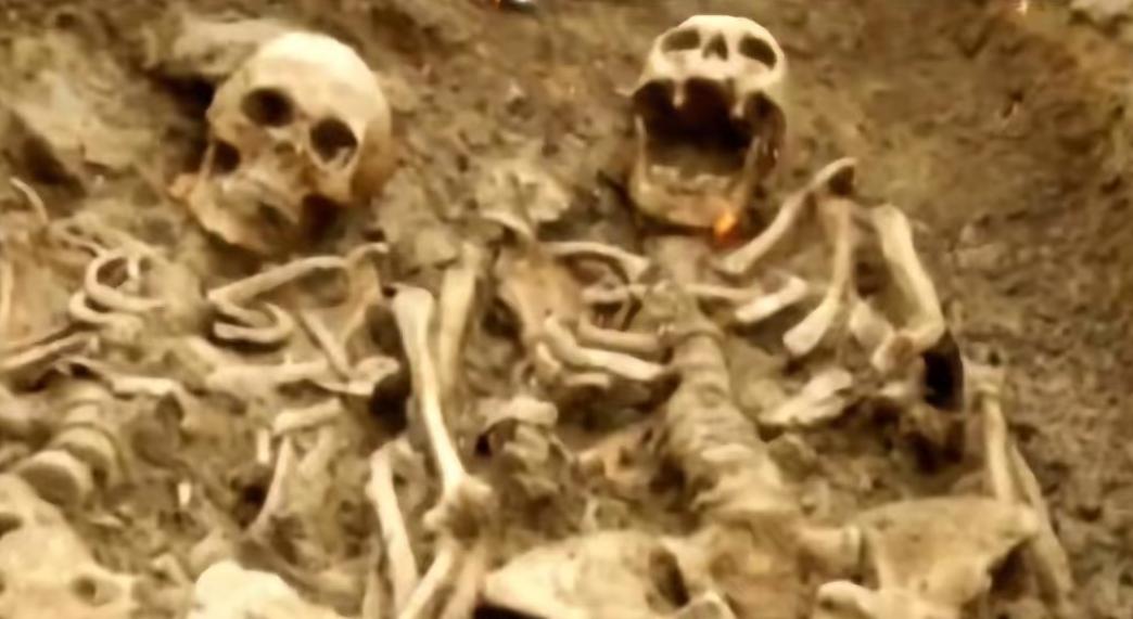 2024年，河南舞钢，一台挖掘机挖出了1068具遗骸。司机一铲子下去，看到不对劲