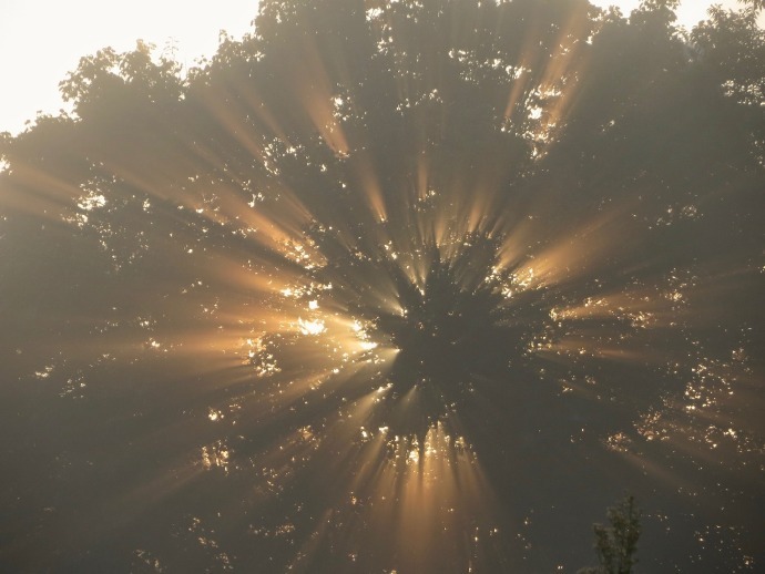 真正的教育不是传授知识，而是唤醒，把大家带到洞穴之外。——  柏拉图 