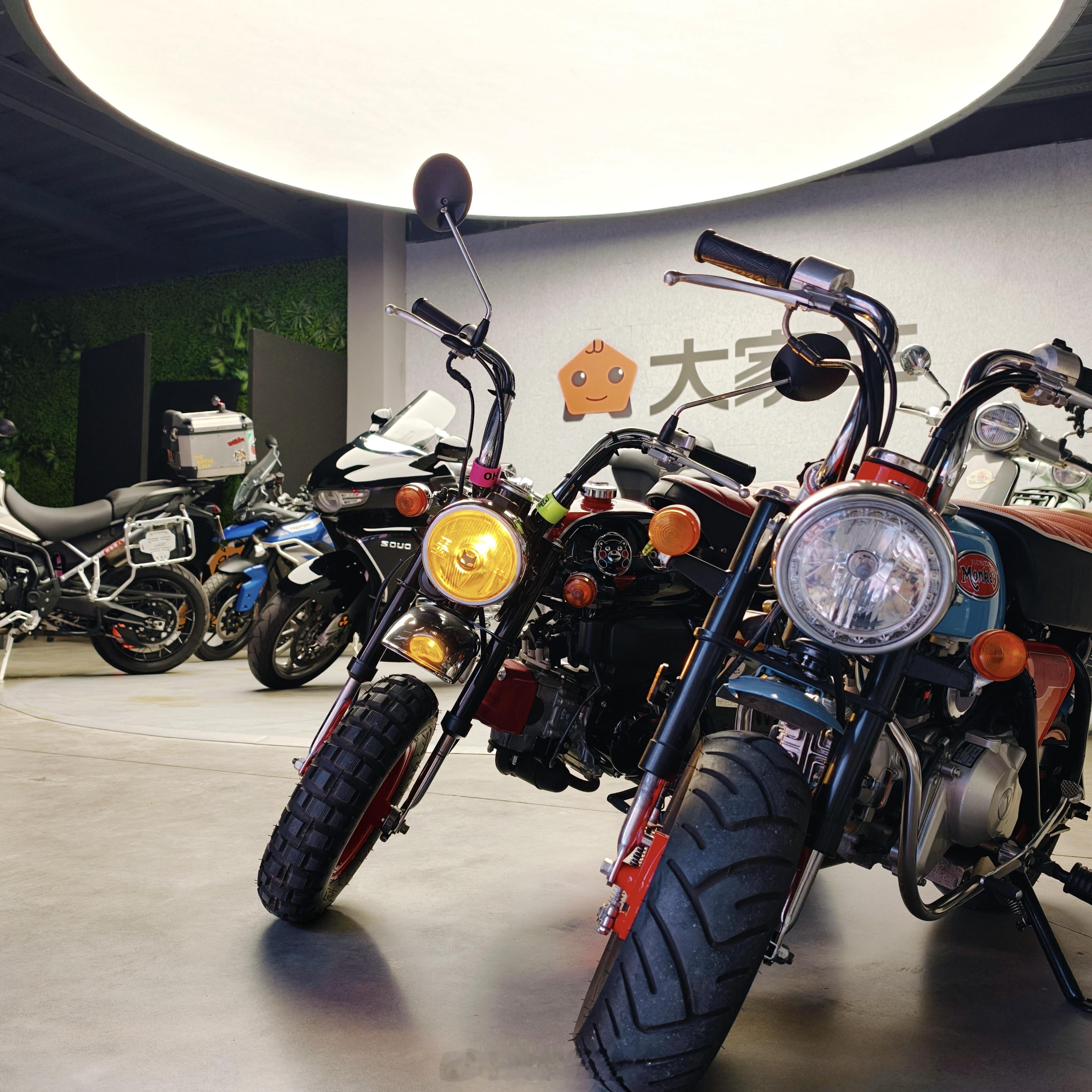 早晨啊，朋友们，今天一定很开心