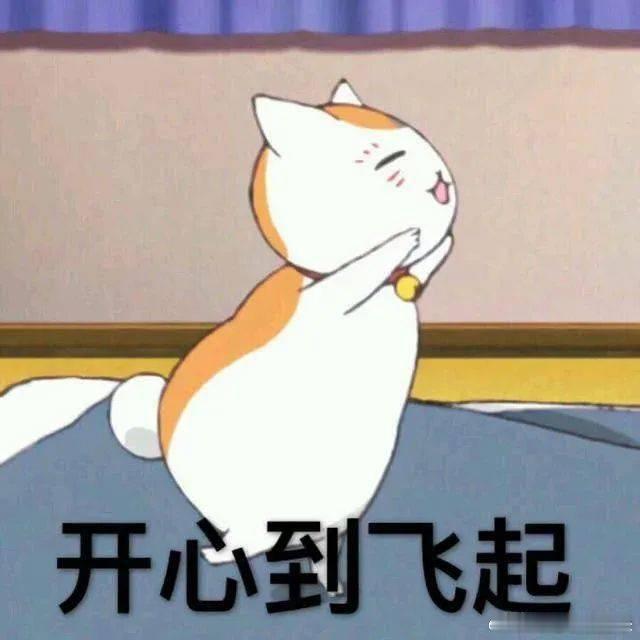 人毕业了猫咪还没毕业 当初入校总爱买零食喂校园小猫，转眼自己就要收拾东西离校，人
