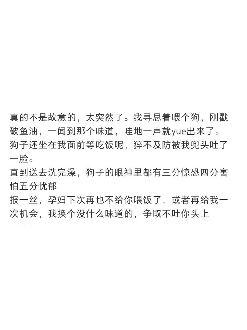 怀孕闻了鱼油不小心吐到狗身上，小狗：今天怎么还有加餐 ​​​