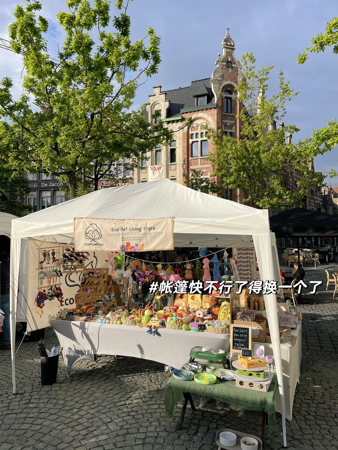 EcoPawPaw周六集市日常｜摆摊也有漂亮饭吃