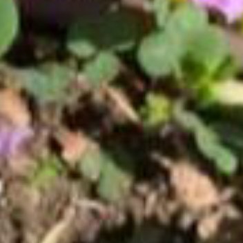 正能量并不是每一件算得出来的事，都有意义；也不是每一件有意义的事，都能够被算出来