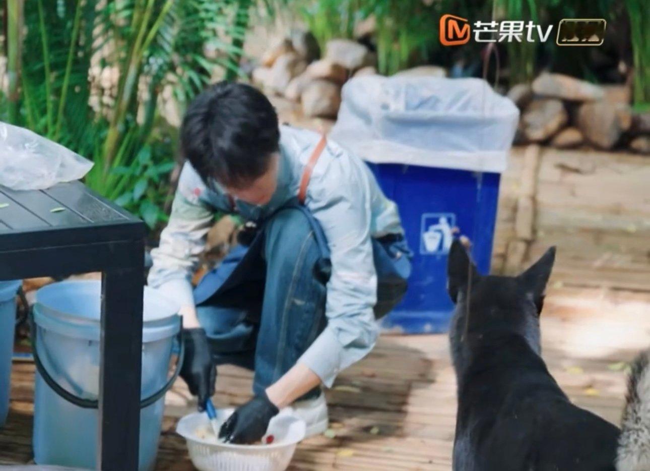 王俊凯动物友好体质还在加码王俊凯洗个菜都能吸引狗狗哈哈哈哈哈哈王俊凯动物友好体质