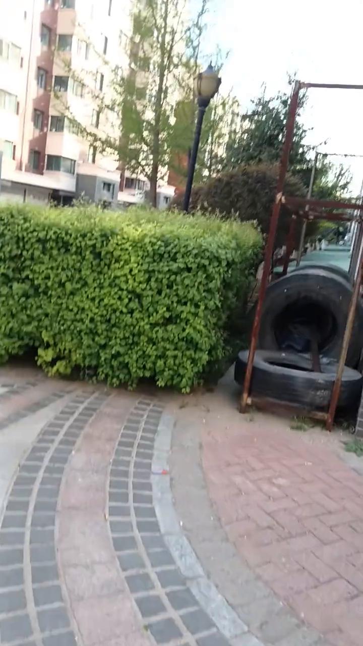 请注意倒车。