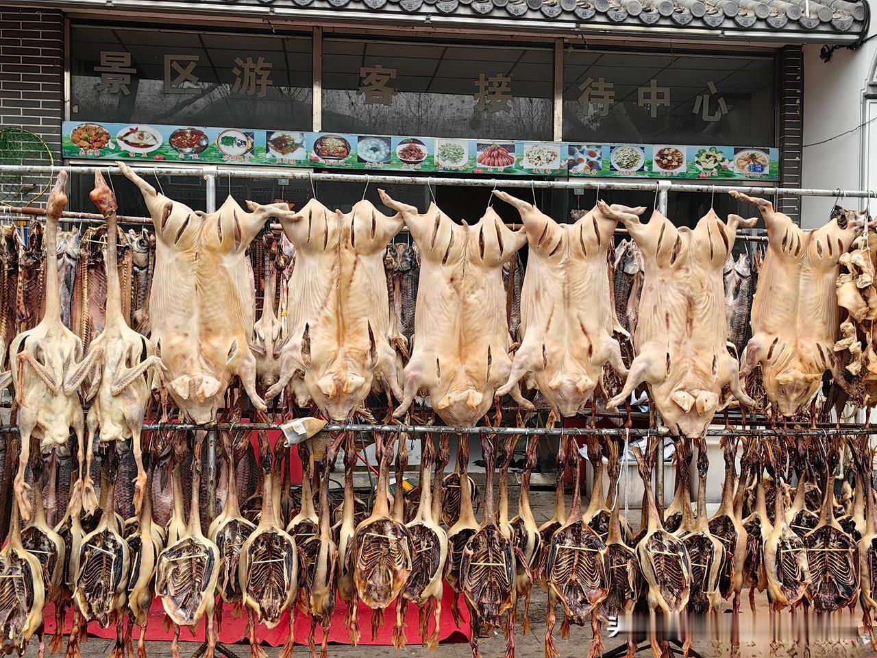 分享你的随手拍