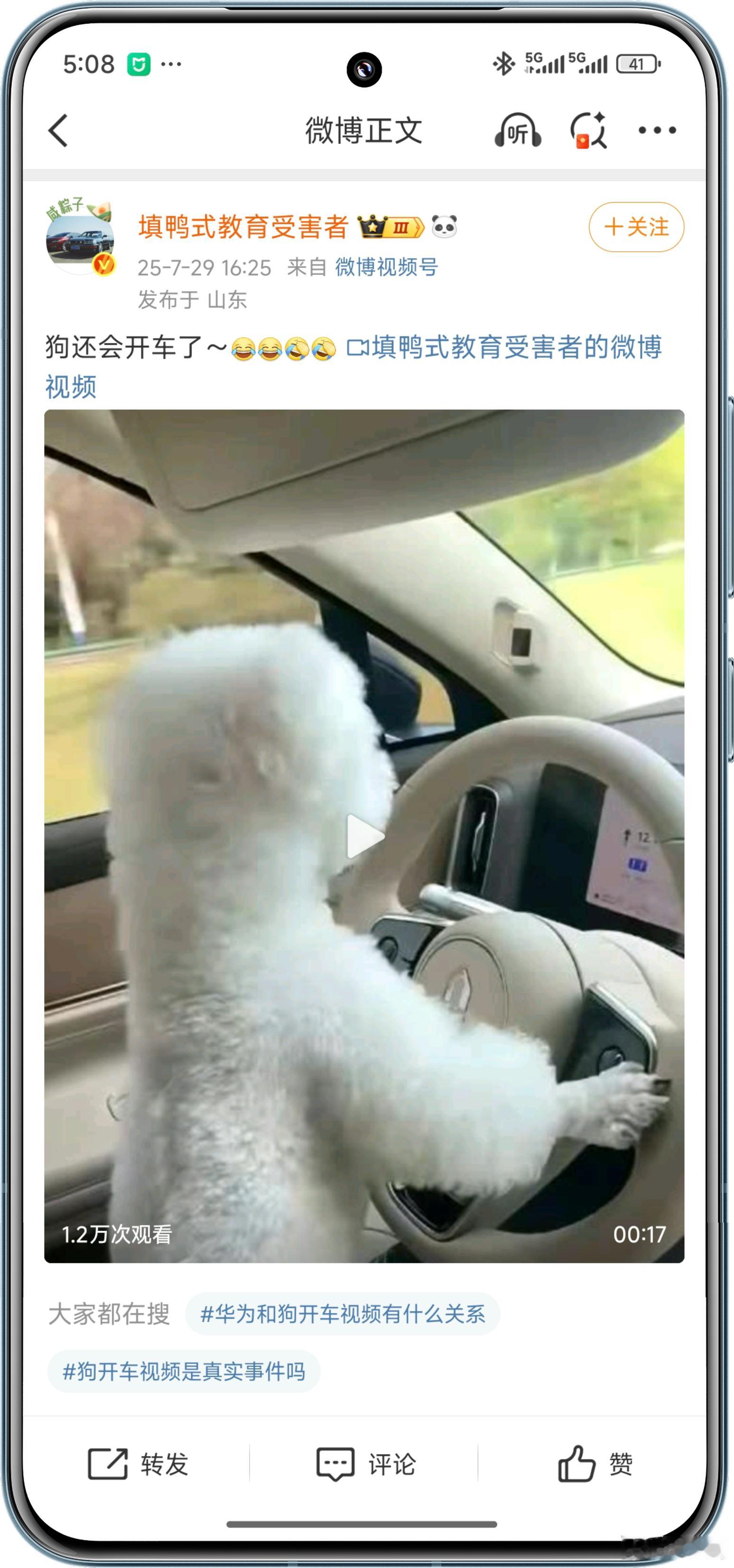 这狗牛逼啊！！！ ​​​
