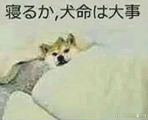 兰特打得很好，但现在他在场上做任何一个动作，我都害怕他马上要倒下... 