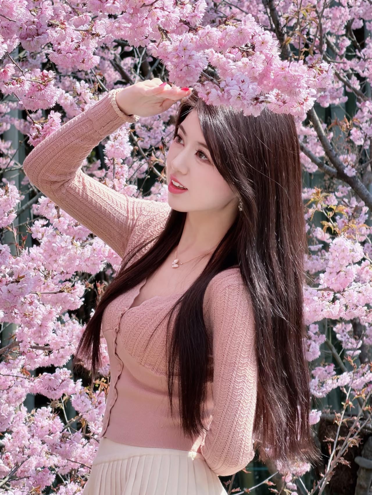 樱花树下美人笑，春光正好。