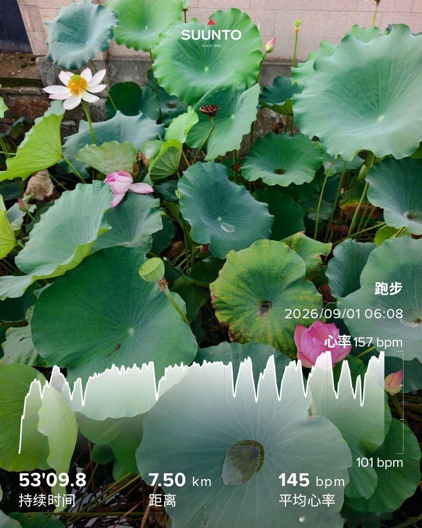 罗斯福10号，被称为啤酒天花板，实际上确实也是好酒。但是不是那种适合牛饮的啤酒，