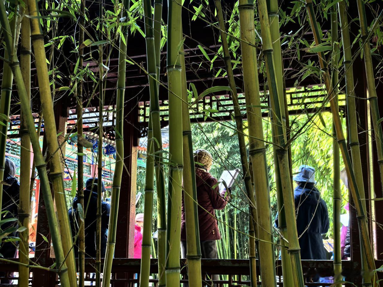 回忆青衣已成霓