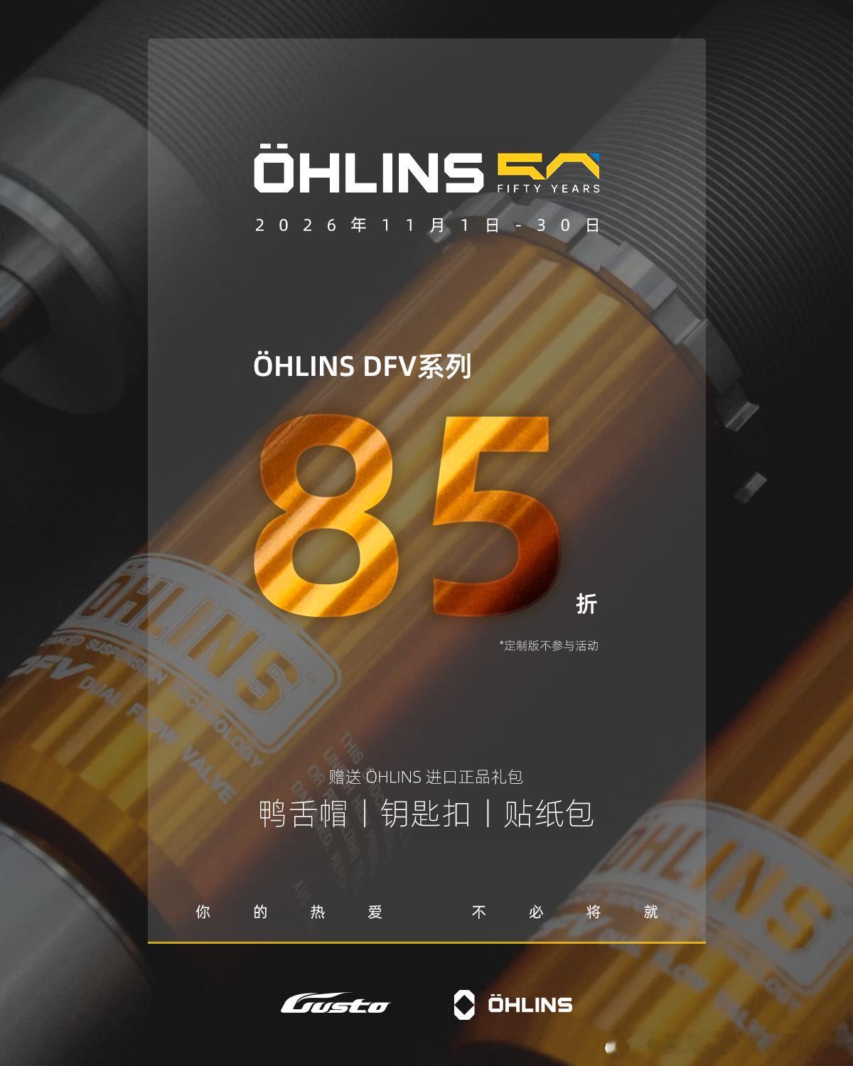 双11 瑞典Ohlins DFV避震 8.5折 活动已开启🔛  ​​​