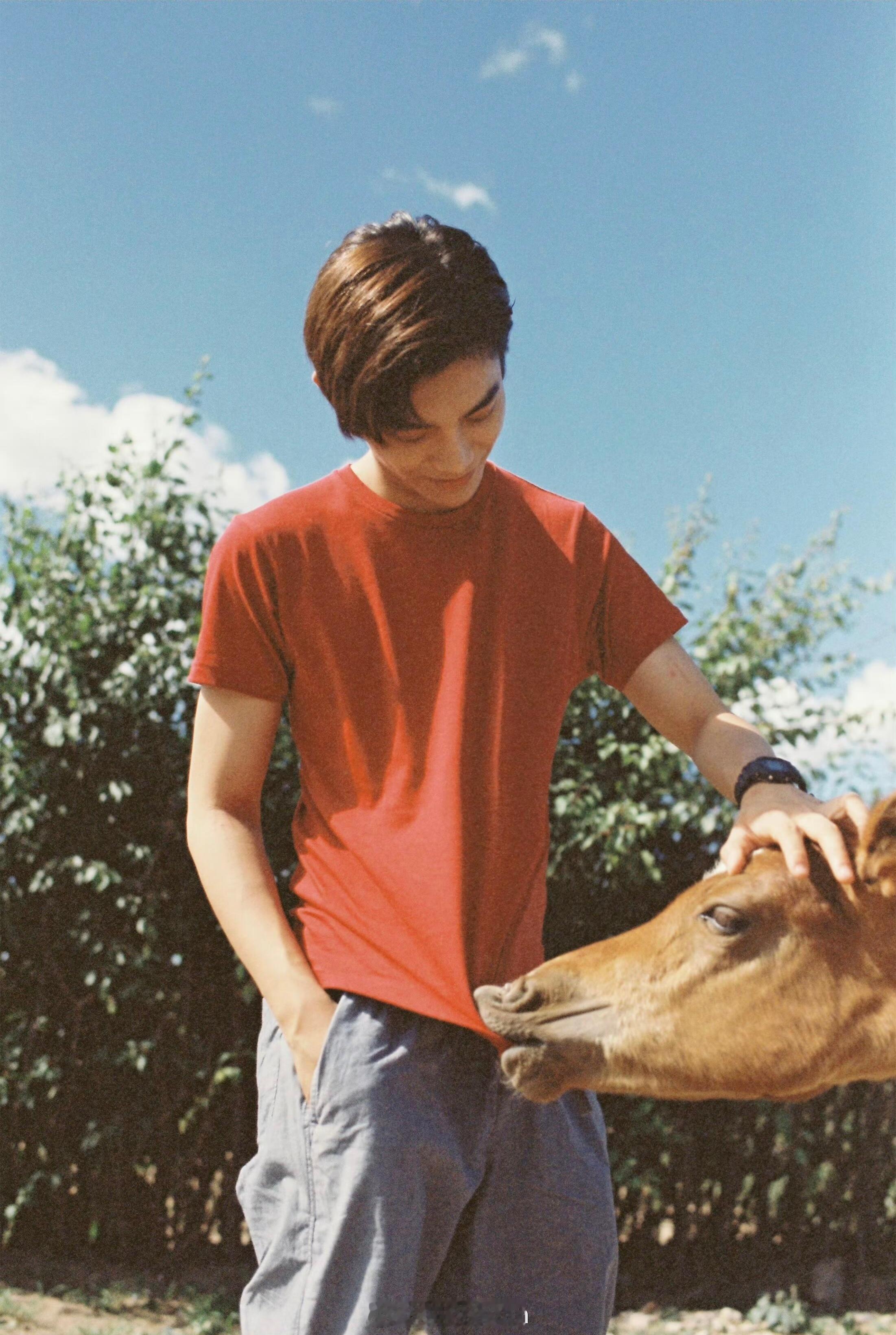 🐎：为了你们我也是拼了 ​​​