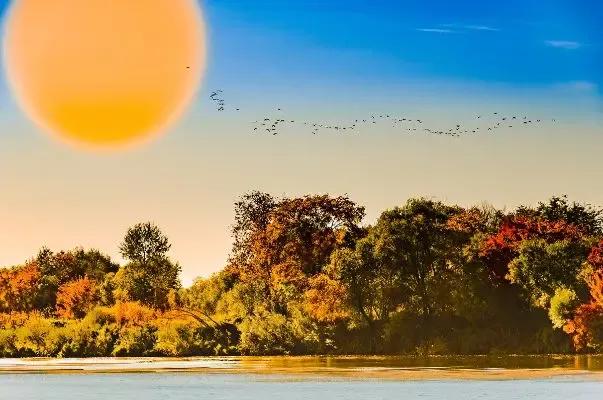 归雁伤

秋风凉   草儿黄
大雁鸣凤望南方 
回头望  一眼相思寸断肠
过往情