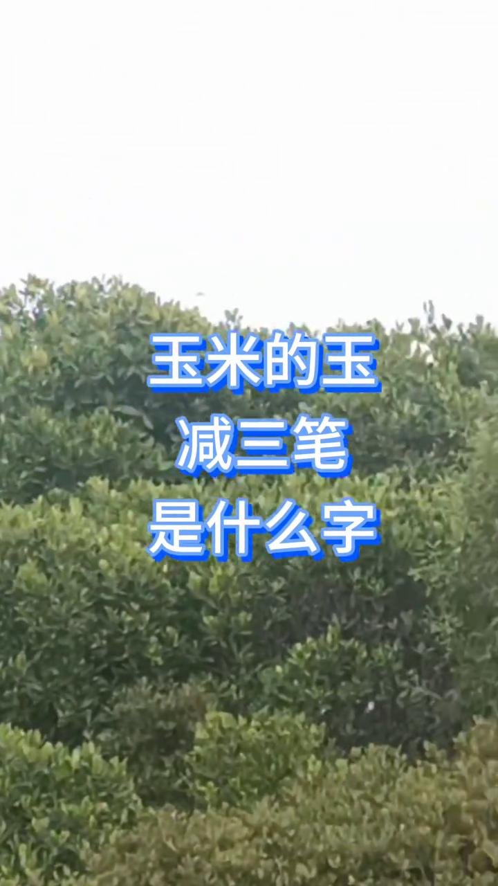 玉米的玉减三笔是什么字？
到目前为止没有一个人答对，能答上来的都是高手。请问玉米