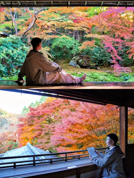 层林尽染时，秋在枝头写满了故事🍁🍂