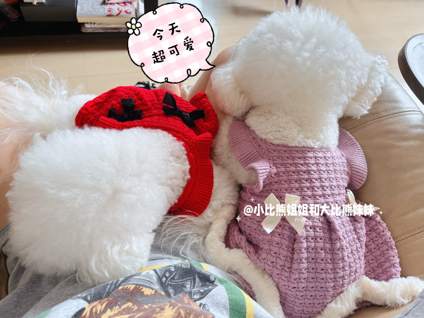 【Umi&Milky】入秋后我就会被封印