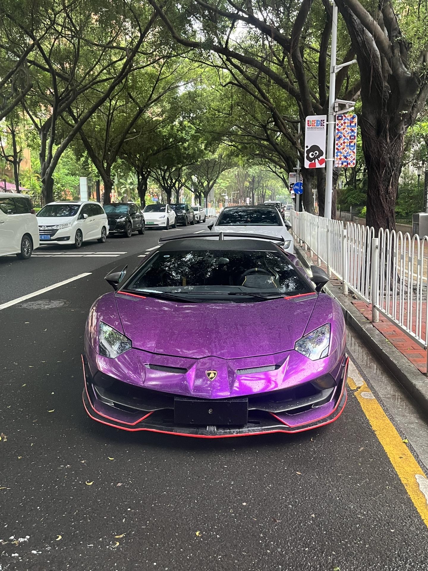 暴雨中的Lamborghini SVJ ，1 di 900