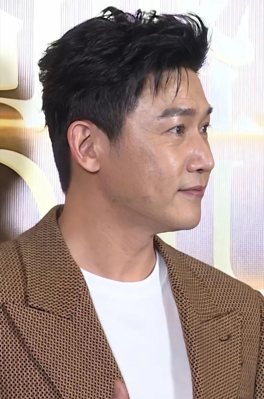 曾经的大陆第一美男明星，老了后也姨化了 