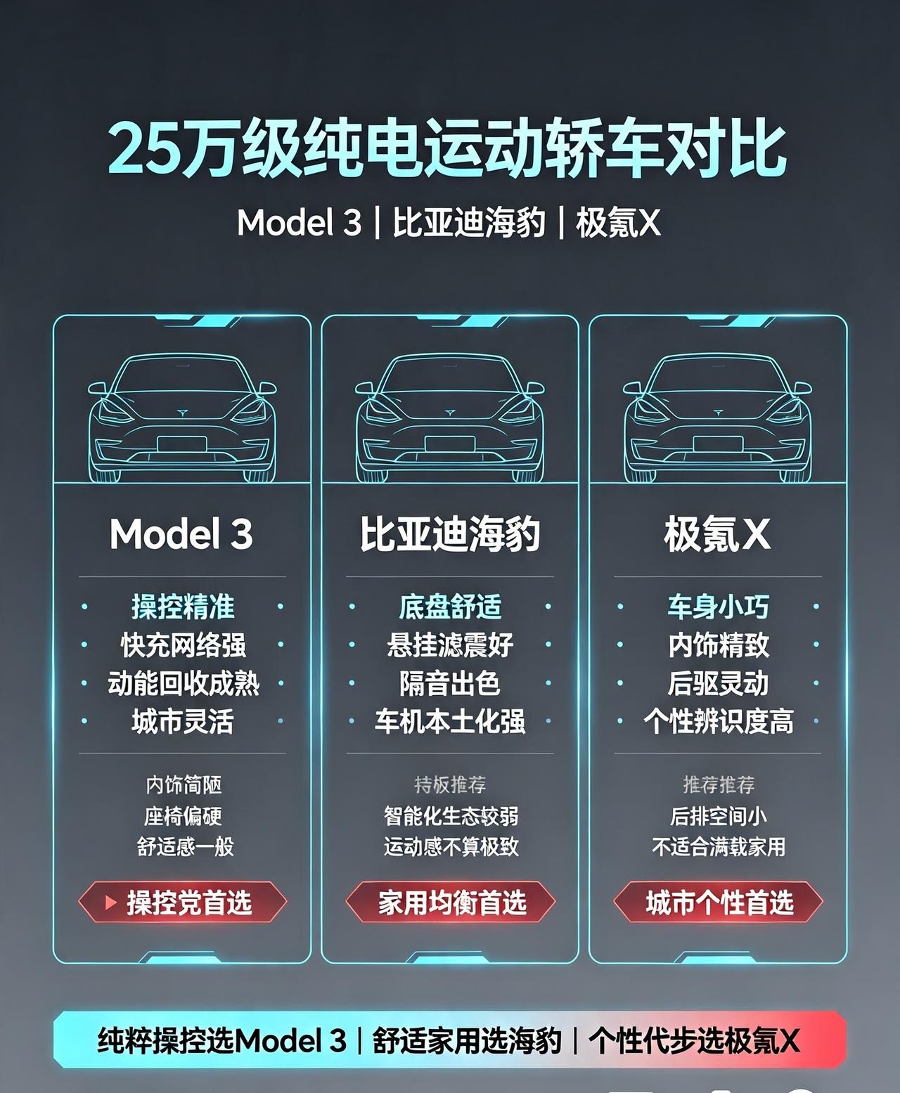 二十五万想买纯电车，偏爱操控、颜值、运动属性，三台车型互为直接竞品。特斯拉Mod