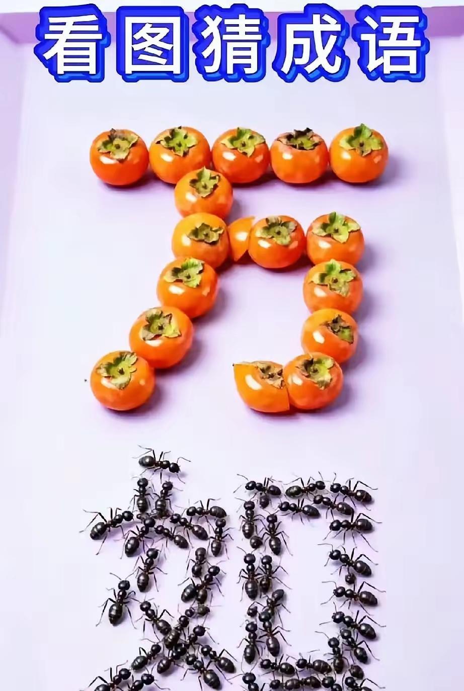 这两个字如何能组成
某个图中的正确成事事如意的成语
柿子摆的万字
蚂蚁组成的如字