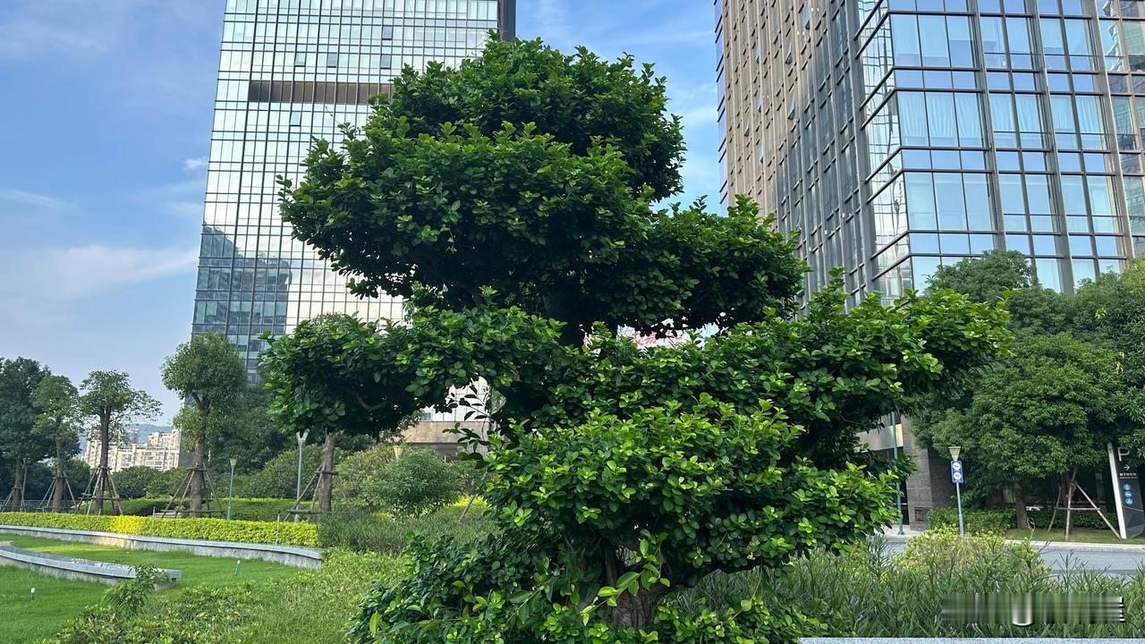 有一句老话叫做“人前教子人后调妻”，孩子犯错了就应该当众指出来，并且给予教训，这