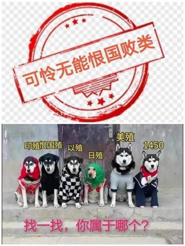 不吃汉堡，难道肉夹馍不香？舔狗250