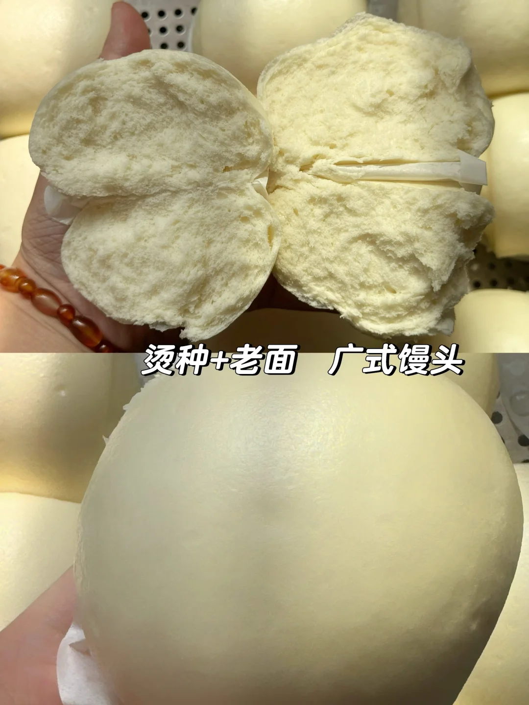 烫种十老面的广式馒头‼️软到没朋友ฅ՞•ﻌ•՞ฅ