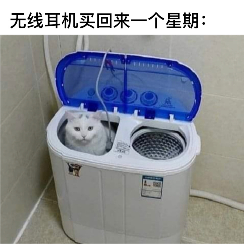 不小心#今日memes# //#镜头下的笑容# ​​​